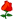 Icon38